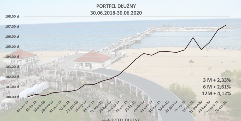 Portfel Dłużny