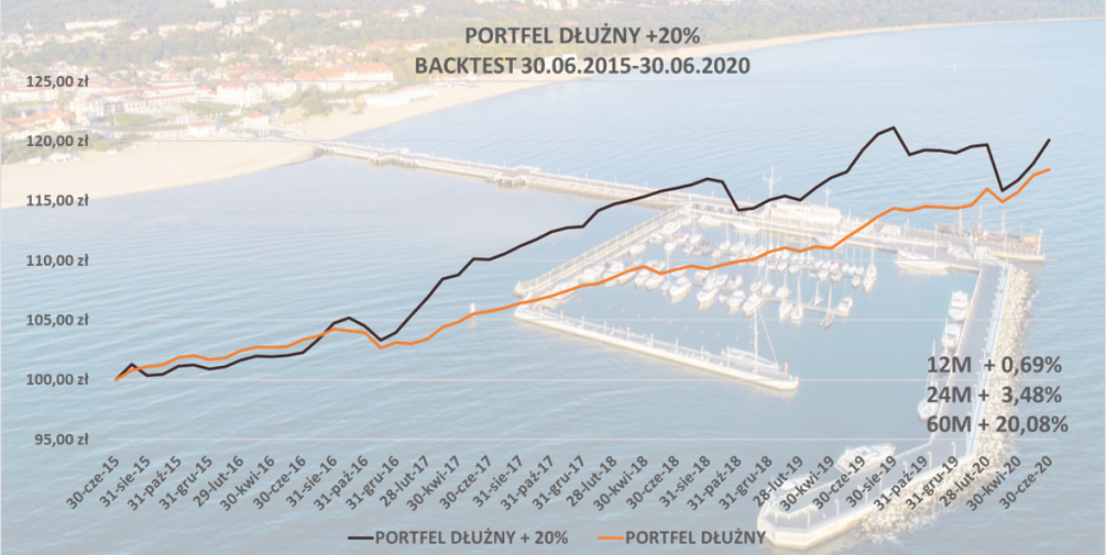 Portfel dłużny +20%